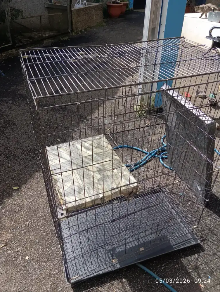 Kandang kucing dua lantai