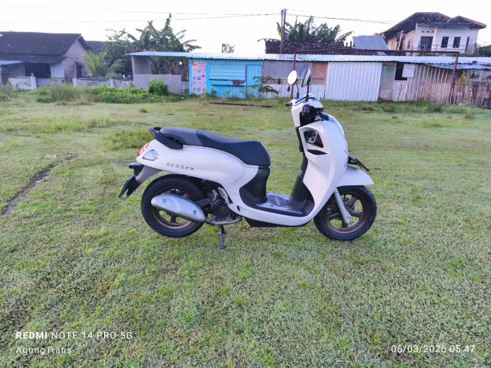 Scoopy Prestise 2025