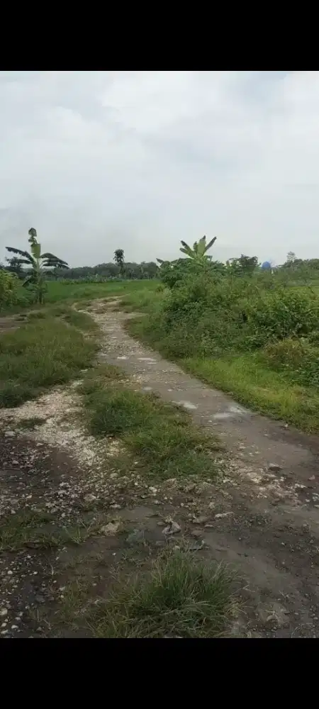 Dijual tanah nol jln raya babat - jombang