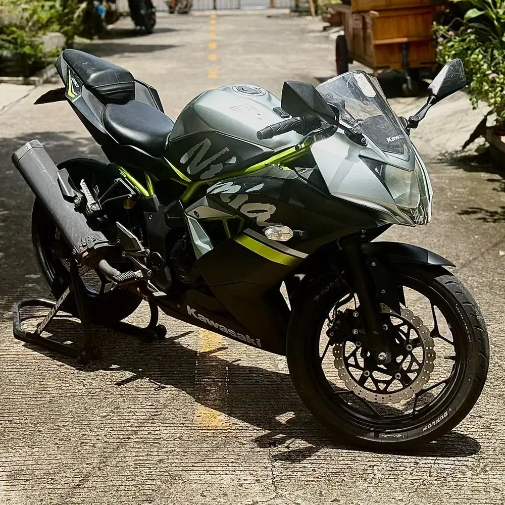 Kawasaki Ninja 250SL/RR Mono