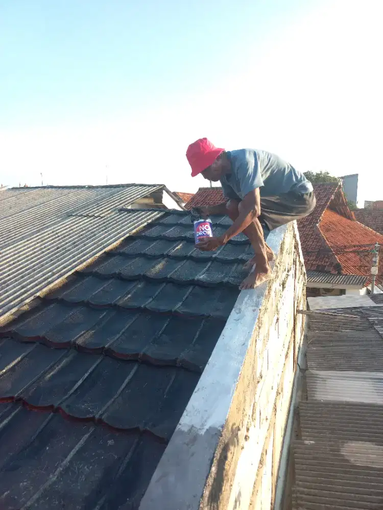 Tukang perbaikan atap bocor,dag,talang,cat rumah dll