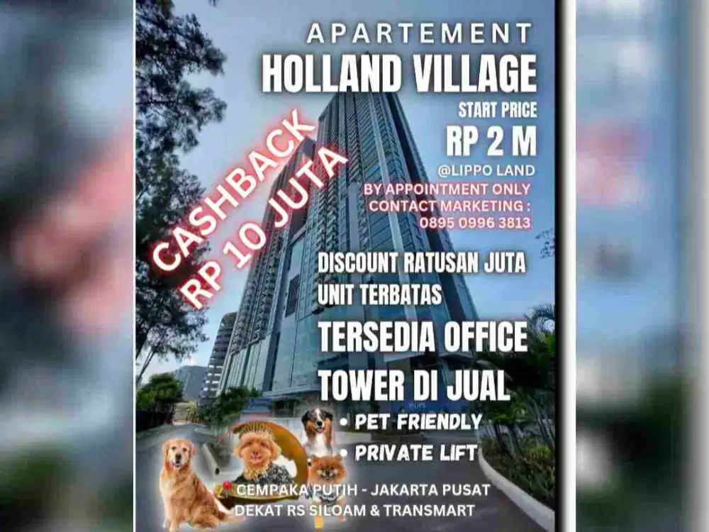 Pet Friendly Apartemen Holland Village Cempaka Putih Bisa Kpr Unit Baru Dekat Toll