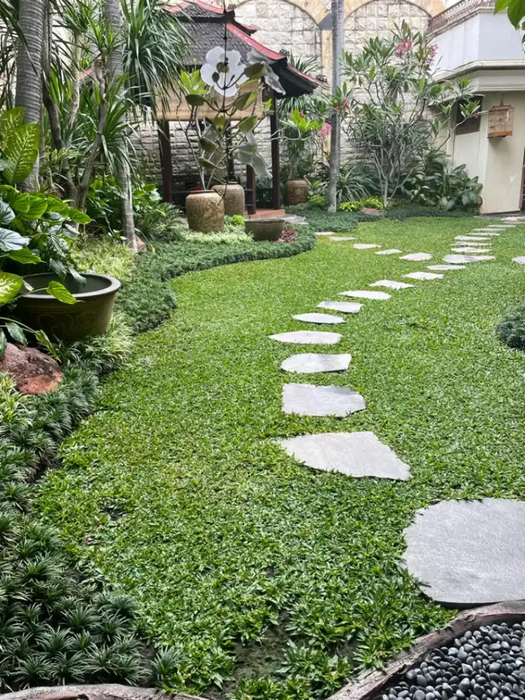 TERMURAH RUMAH LUAS SIAP HUNI NGINDEN SURABAYA DEKAT MERR RUNGKUT TOL