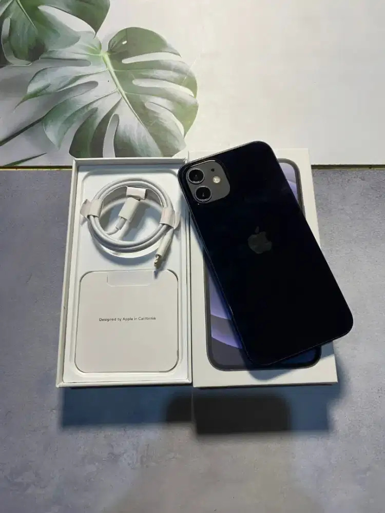 IPHONE 12 BASIC 256