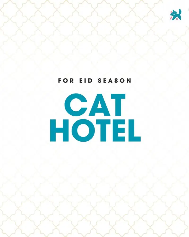 CAT HOTEL | Penginapan kucing | BSH