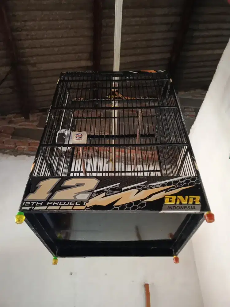 Sangkar BNR kotak