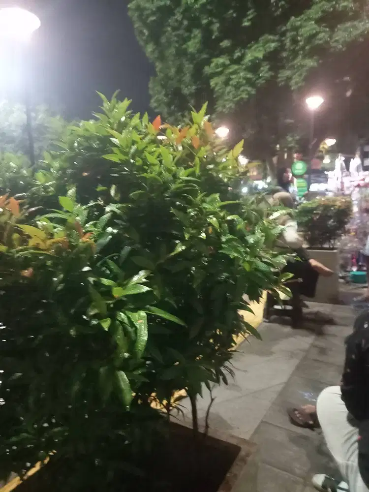 Dibutuhkan Tenaga Wanita