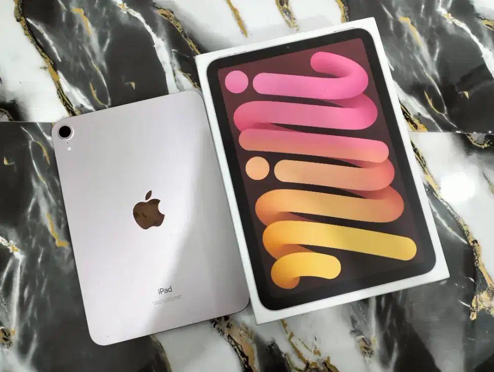 iPad 6 Mini 64 GB Ex INTER WiFi Only