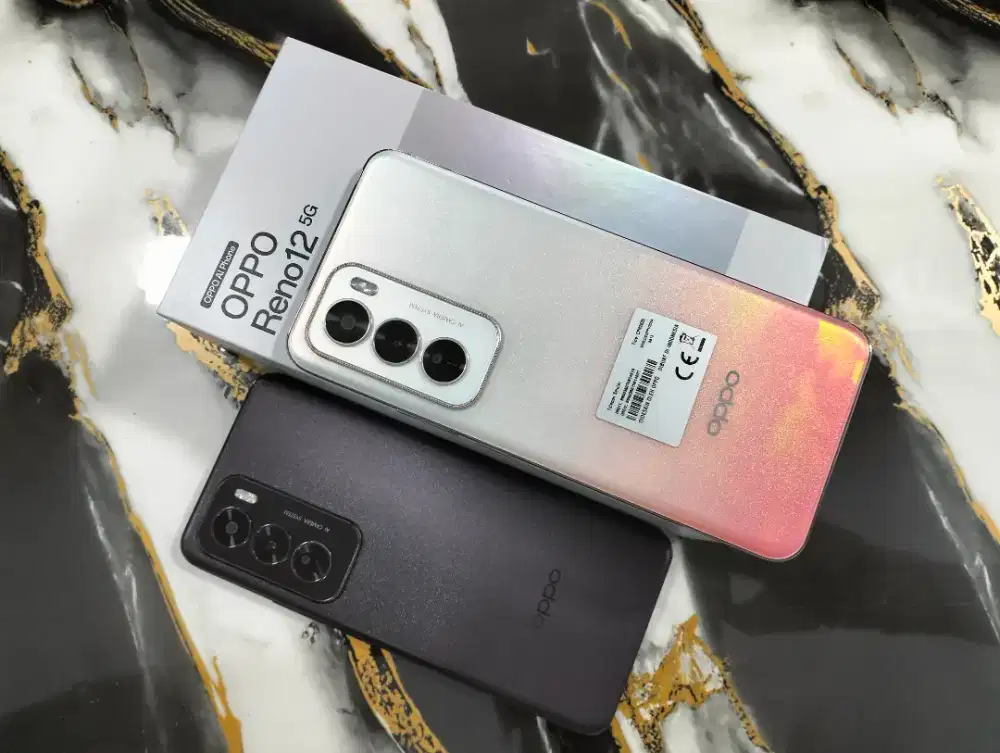 Oppo Reno 12 5G 12/256 GB