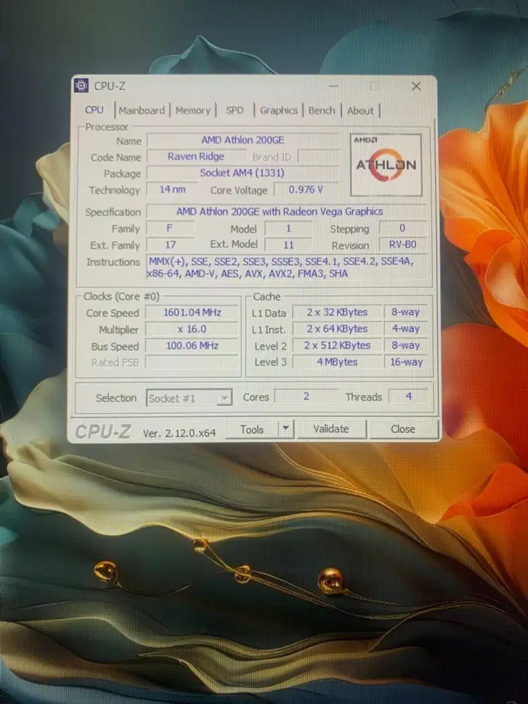 Processor AMD Athlon 200Ge + Fan