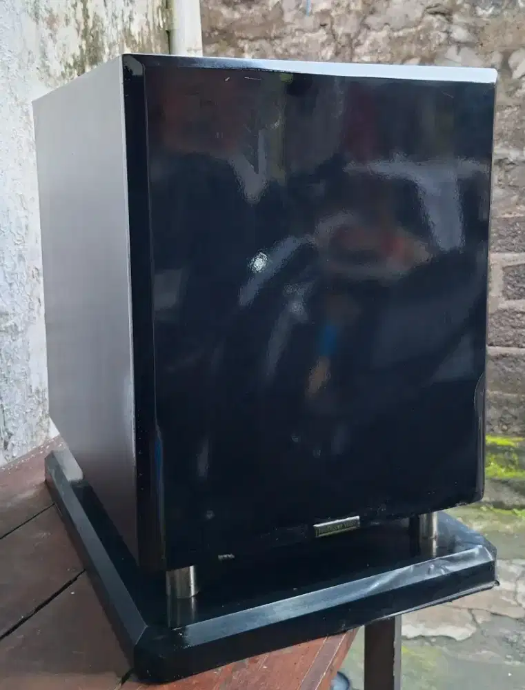 Subwoofer aktif inteligent voice 12inc