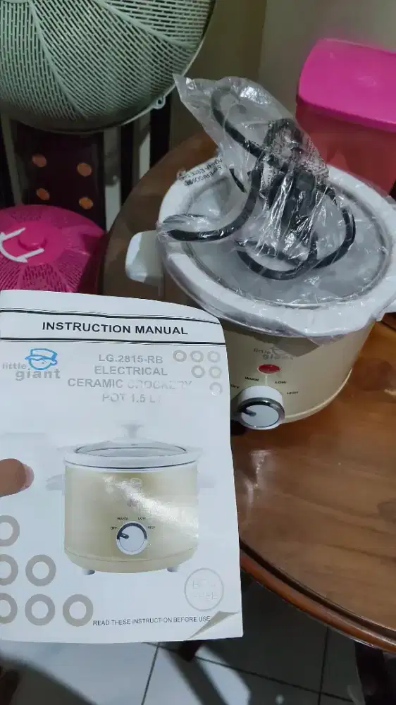 SLOW COOKER LITTLE GIANT