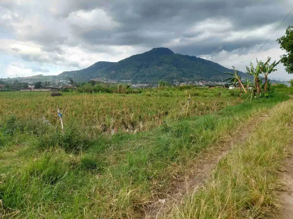 Tanah Cikeruh Jatinangor Jual LELANG