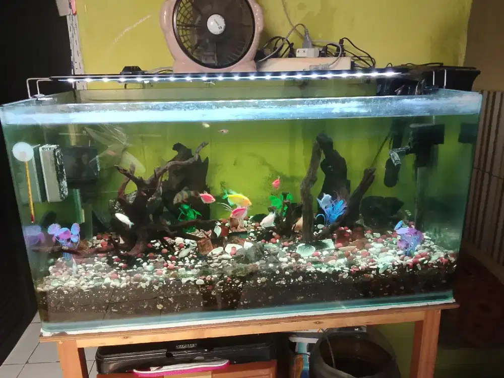 Dijual Aquarium bagus uk 90x46x45 lengkung