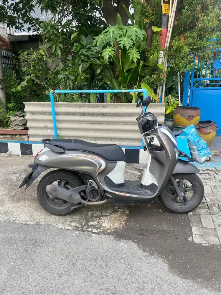 Scoopy cbs 2024
