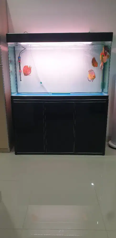 Aquarium Fishland Ace Hardware