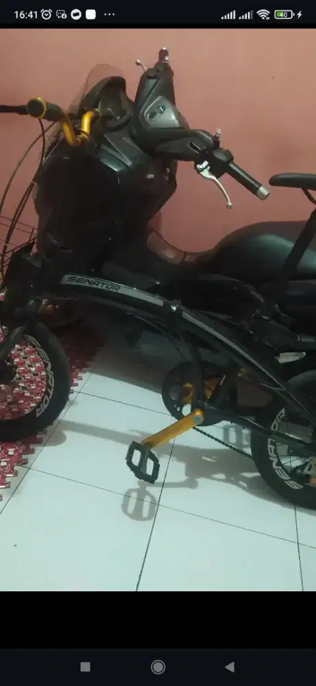 Sepeda senator mulus