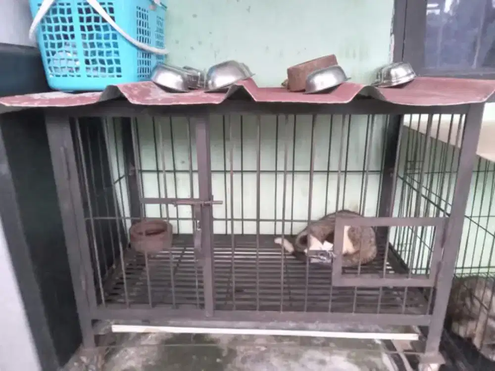 Kandang custom Super Kuat dan Super nyaman