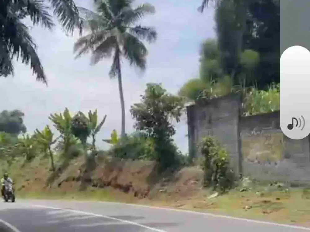 DI JUAL TANAH SANGAT MURAH.PINGGIR JLN PROPINSI