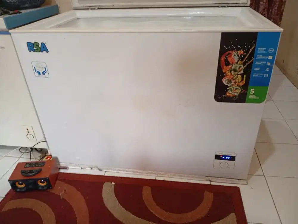 Freezer RSA 300 liter gress