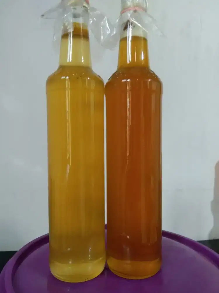 Madu asli lebah liar