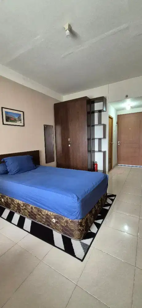 Pinewood Studio Executive