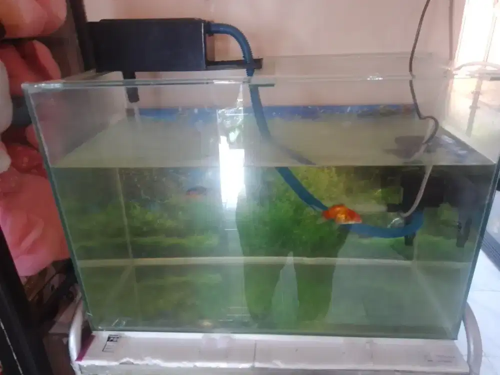 Aquarium P60 T40 L30