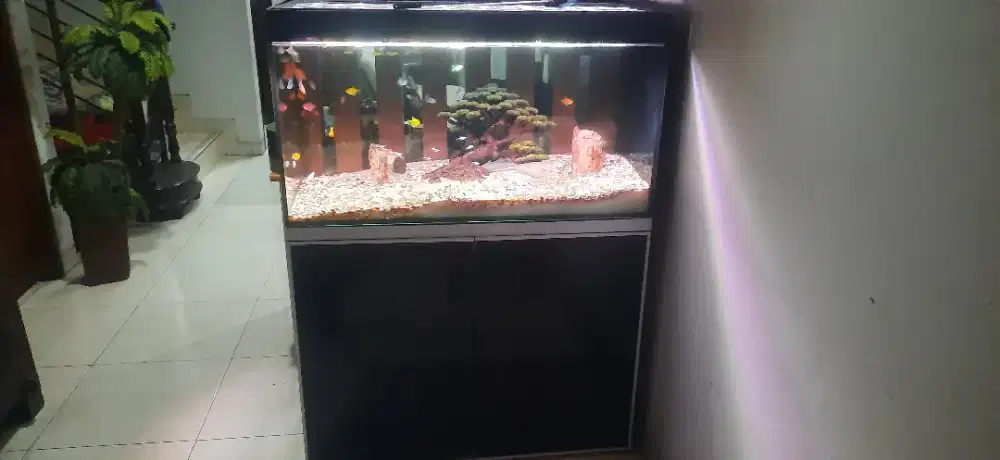 Di Jual fullset aquarium