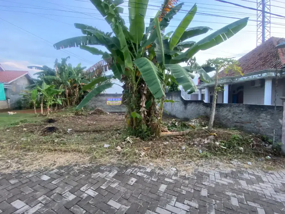 TANAH SIAP BANGUN, CIKULUR - Depan Artha