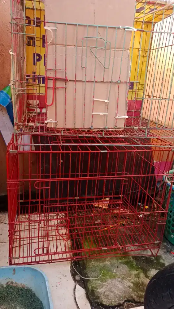 Jual Kandang Kucing