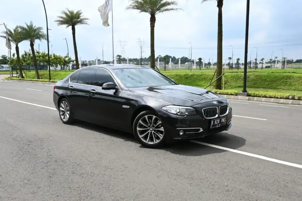 (Tdp9jtan) BMW 520i LCi 2015