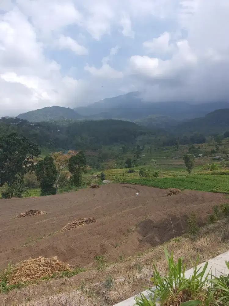 Tanah dijual Lokasi Pacet Kota