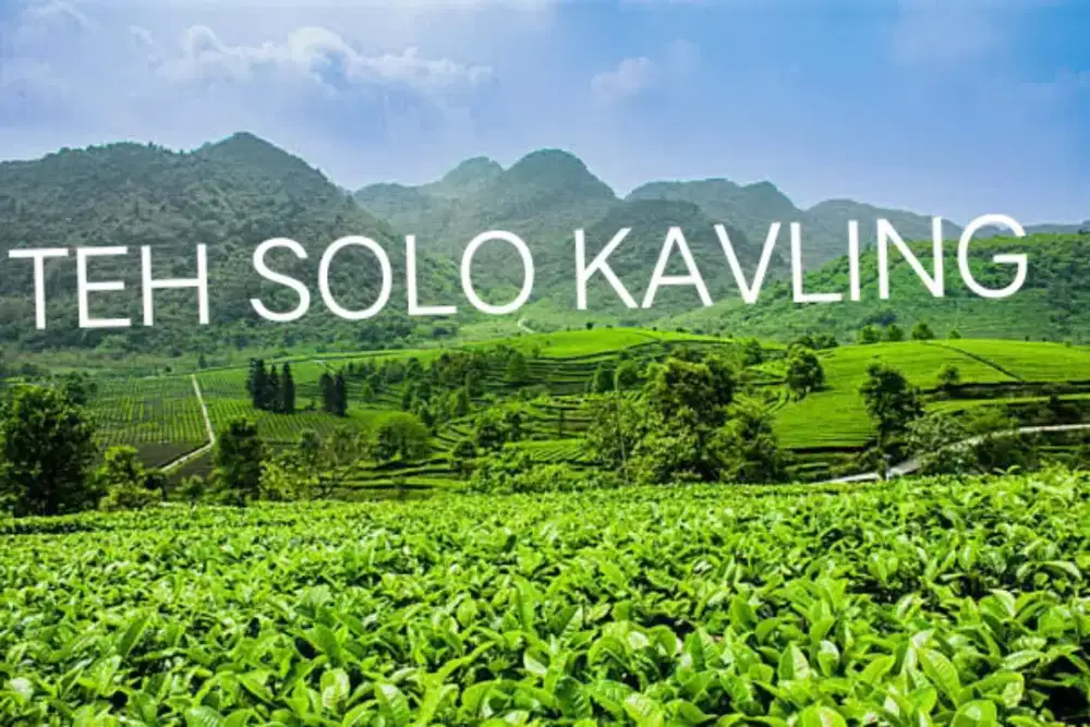 LOKER LOWONGAN TERBARU