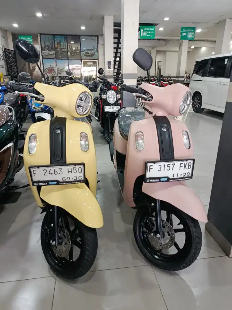 Fazio neo 125cc terawat