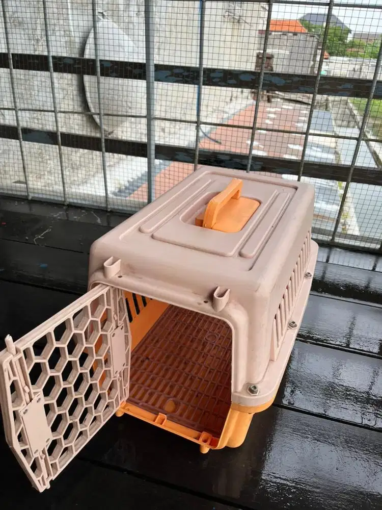 Pet Cargo Mulus Istimewa
