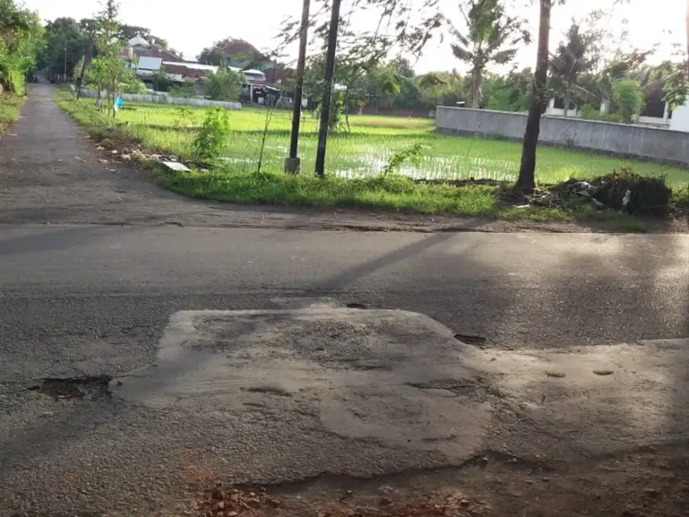 2033. Dijual Tanah di Anyelir Kec Praya Lombok Tengah NTB