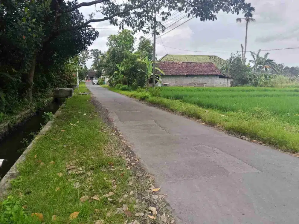 Jual Murah Tanah Berbah Jogotirto