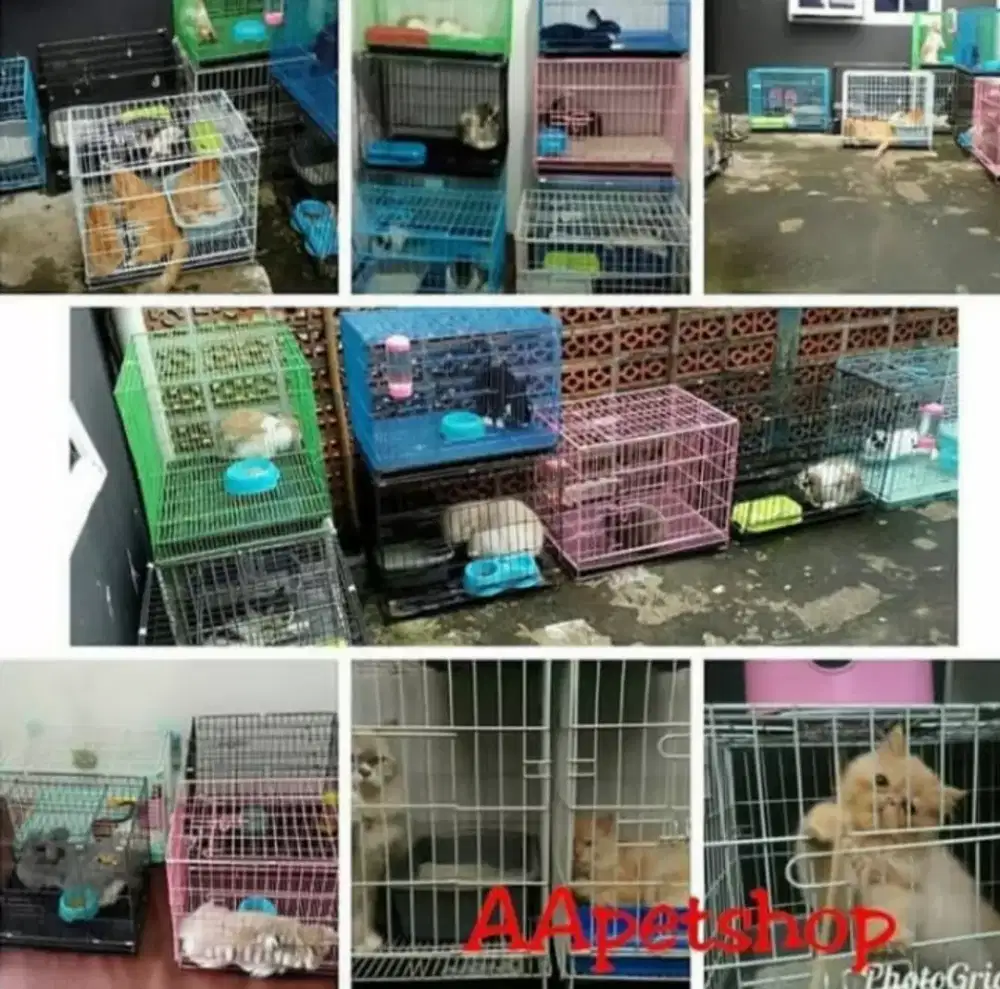 Penitipan kucing, kelinci, dan lainnya