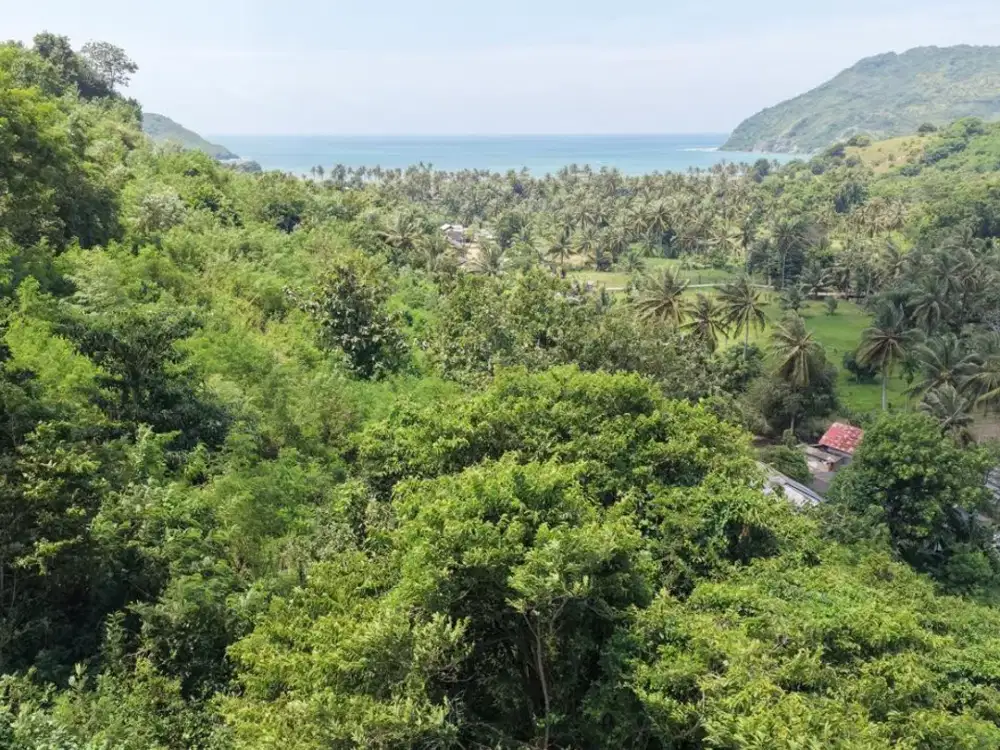 Tanah hill view laut di Areguling dekat Kuta Mandalika