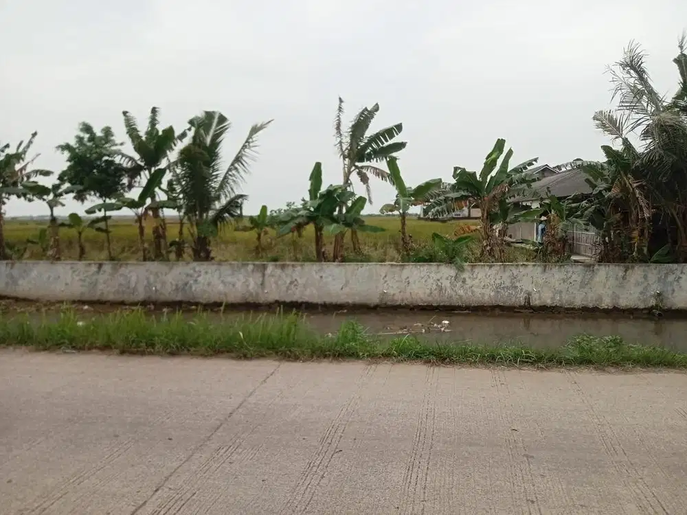 Dijual Tanah Lokasi Strategis Karawang