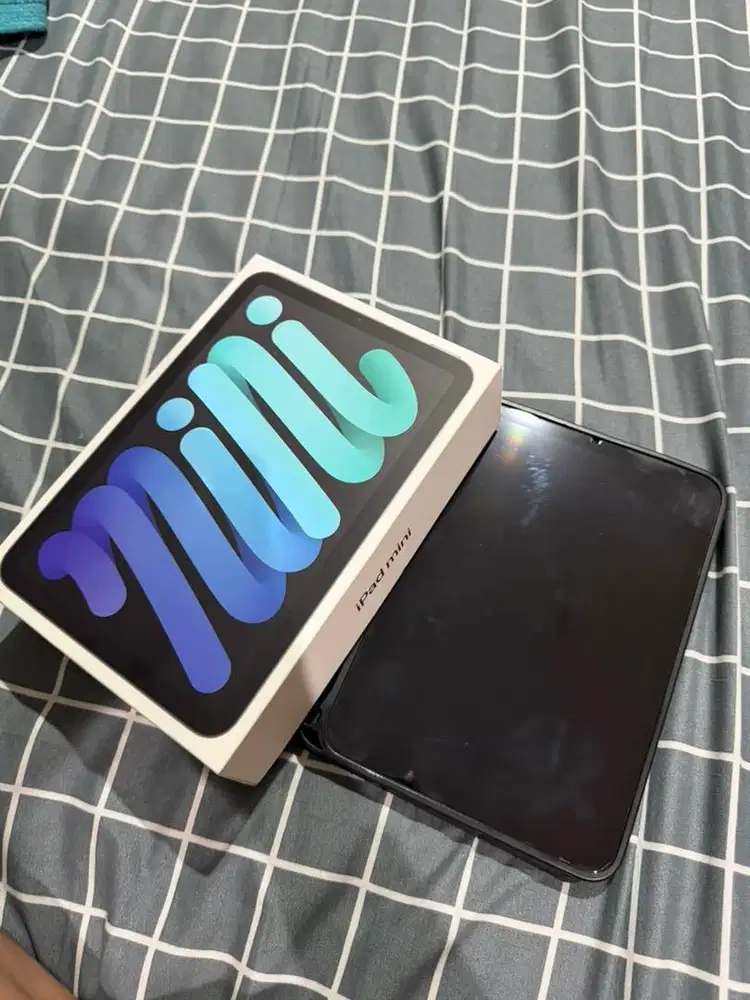 Ipad Mini 6 256Gb Wifi