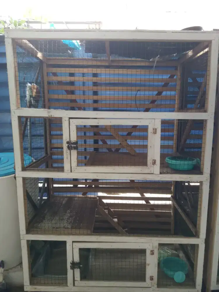 Kandang Kayu Kucing