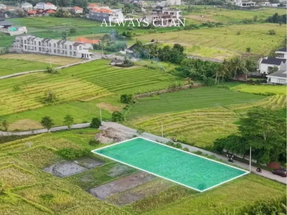 Lahan Baru Dekat Pantai Nyanyi Siap Bangun Dijual