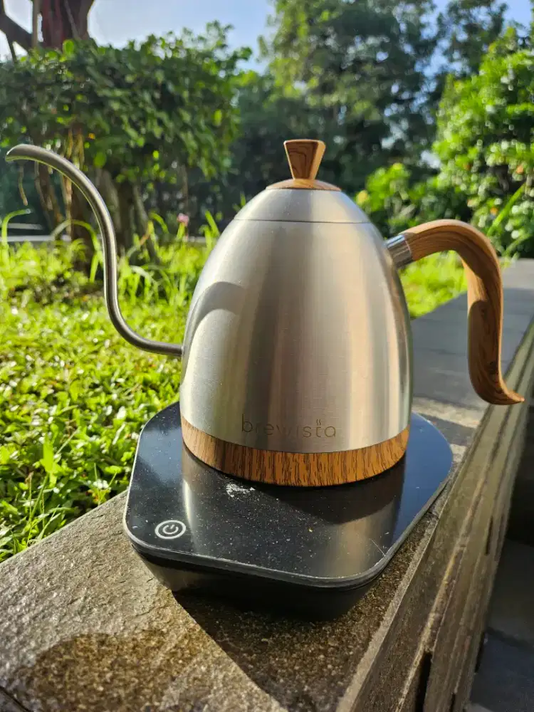 Brewista Artisan Gooseneck Kettle