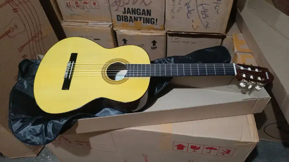 Gitar Clasic Tanam Besi