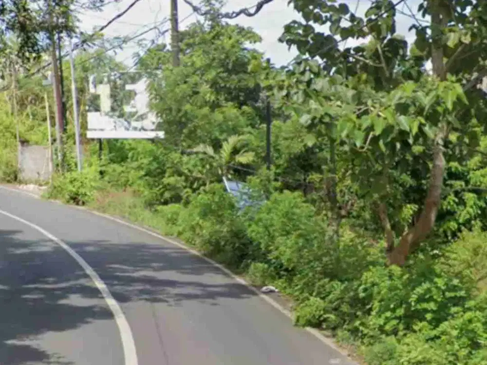 Tanah Zona Pink di Jalan Utama Belimbing Sari Pecatu Bali