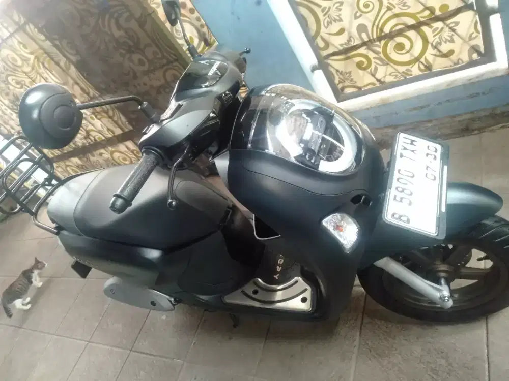 Scopy pristege  gres