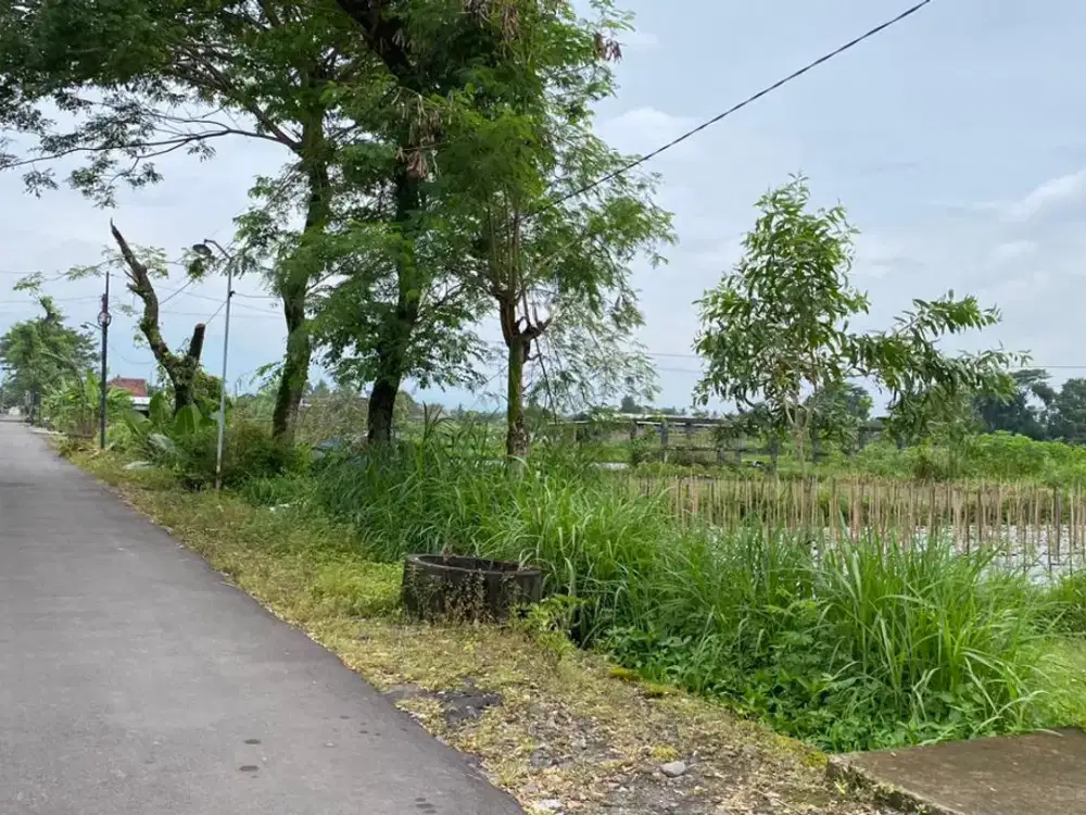Tanah SHM Selomatani Sleman - Utara Tugu Batu