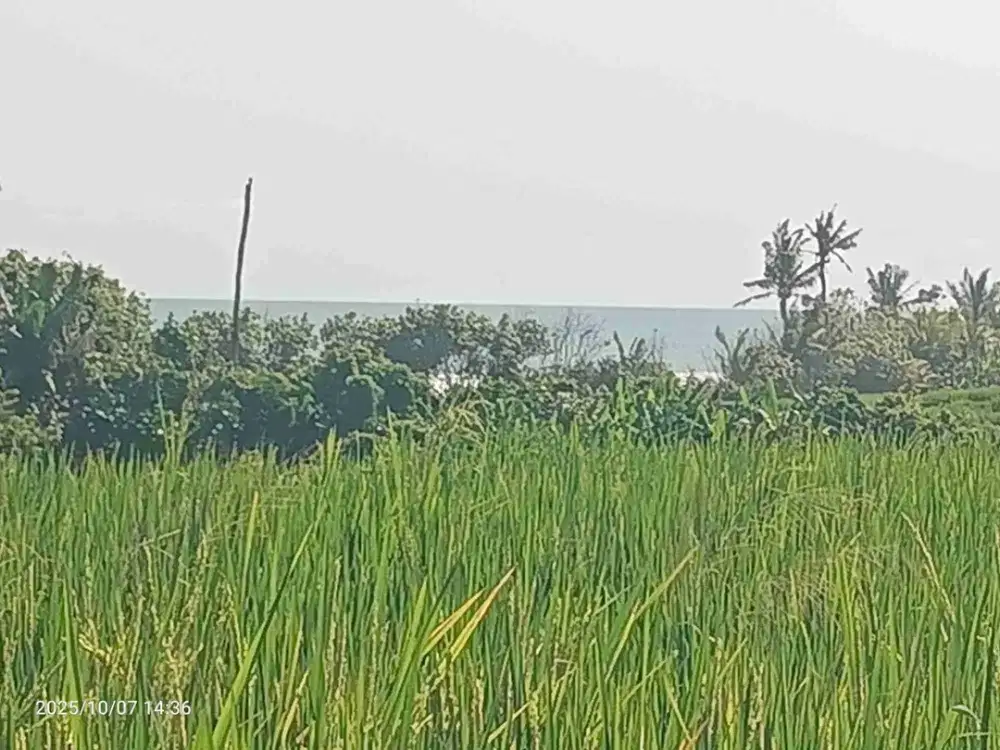 Tanah Zona Pink View Laut dan Gunung dekat Pantai Pasut Bali