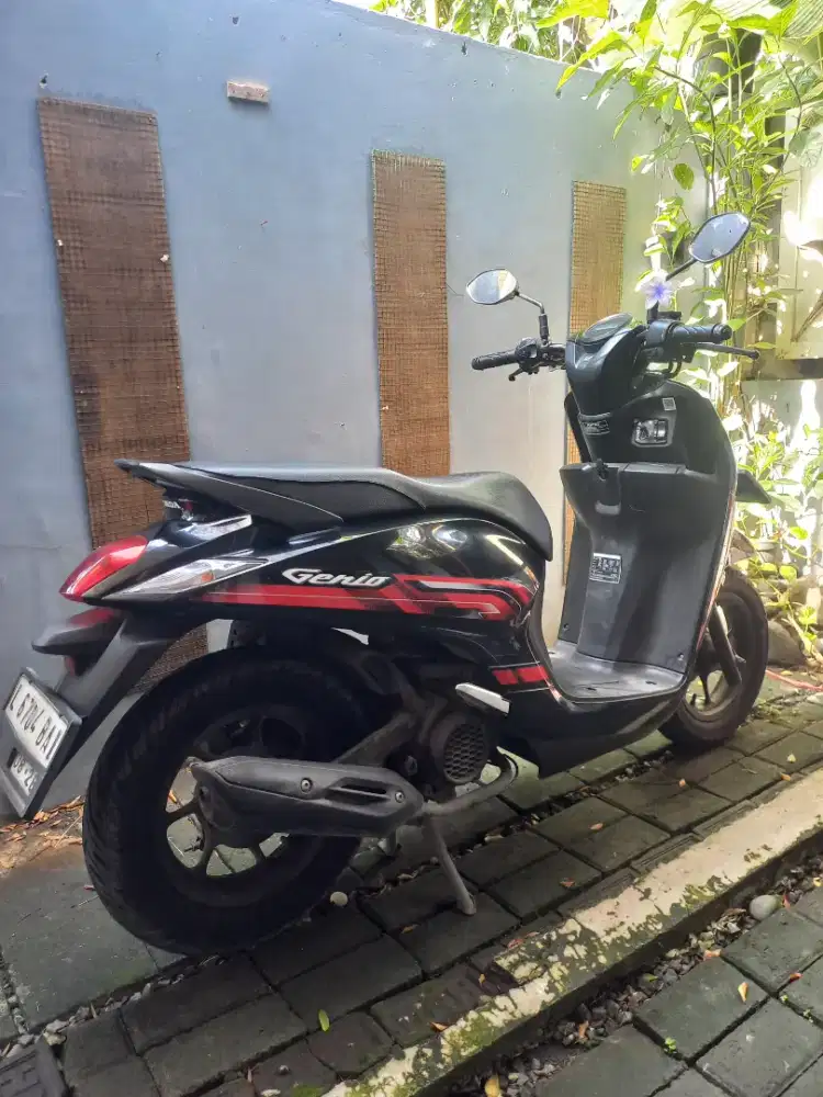 Genio New 2023 Original